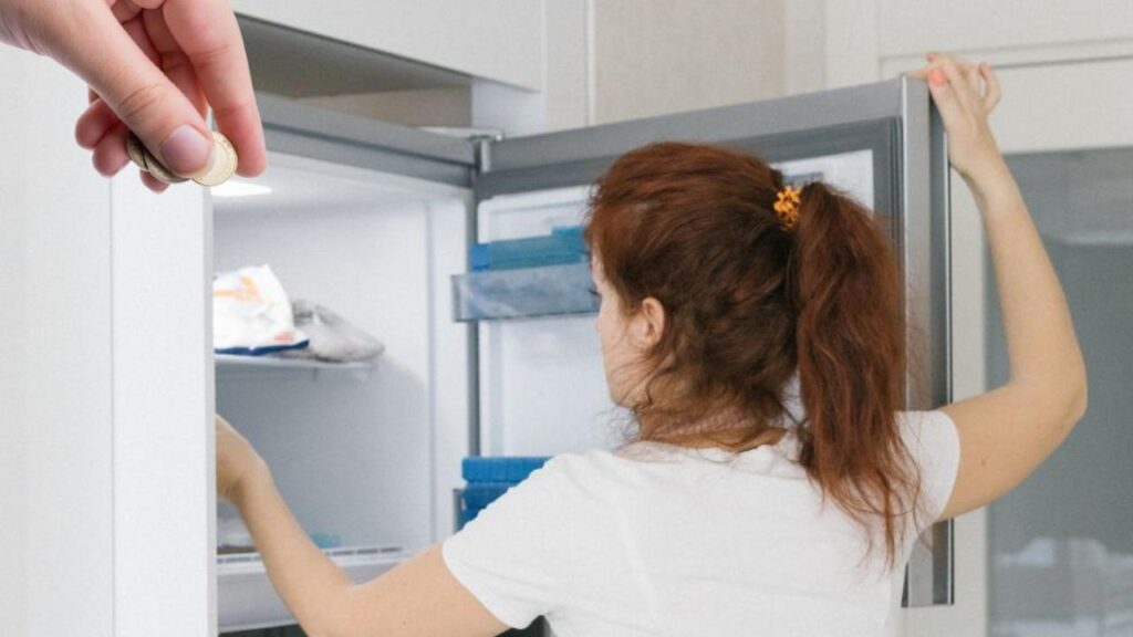 Metti una monetina nel congelatore: eviterai un mare di guai I Non lo sa nessuno, ma chi l’ha scoperto è un genio