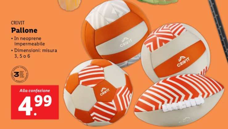 L'offerta imperdibile di Lidl - mandamentonotizie.it - 20250526