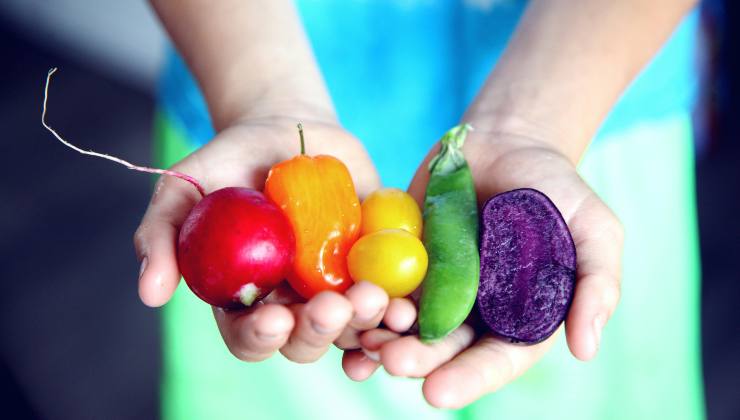 Qual è la verdura più pericolosa da consumare - mandamentonotizie.it - 20250523