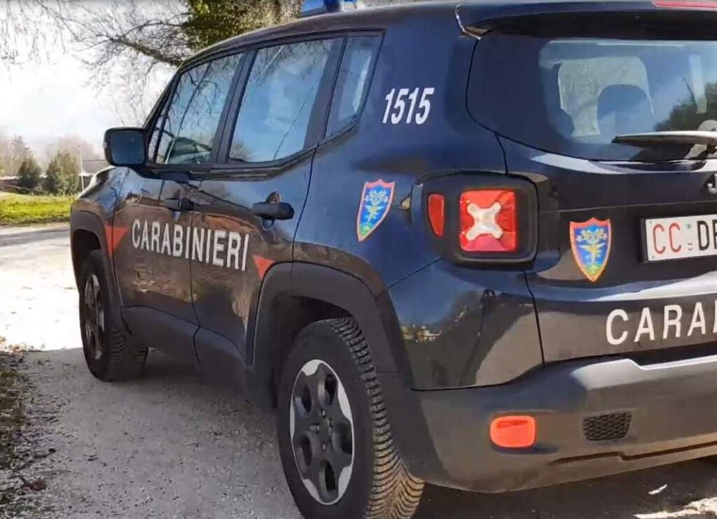 Controlli e sequestri dei Carabinieri Forestali