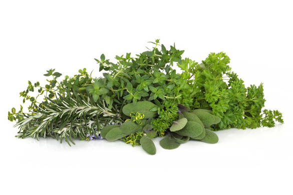 NUTRIZIONE & BENSSERE. Erbe aromatiche, è tempo di raccolta
