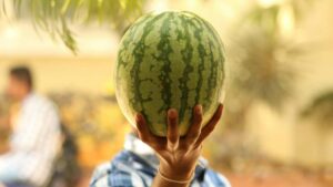 Bonus cocomero, buone notizie per gli italiani - mandamentonotizie.it - 20250603