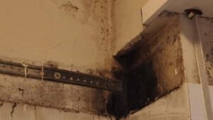 Muffa, come eliminarla per sempre - mandamentonotizie.it - 20250603