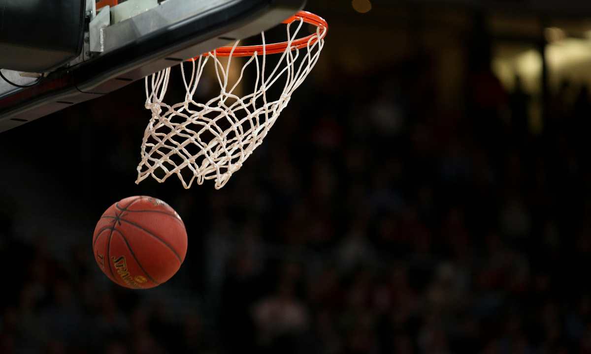 Avellino Basket, arriva Andrea Zerini: un'ala di 205 cm per 105 kg