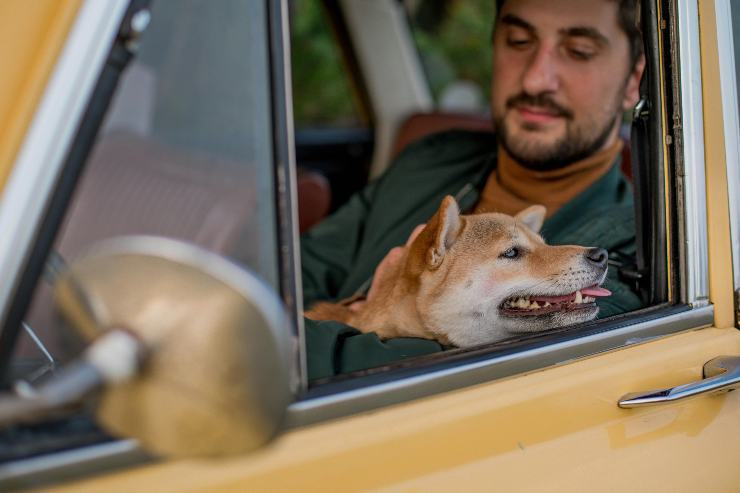 cani auto estate