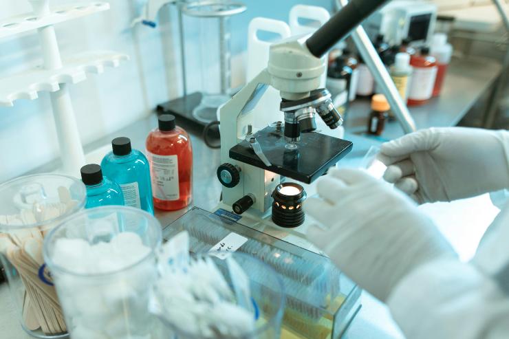 studi scienza dna