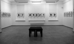 Ad Avellino una mostra dedicata a Leopardi e Dante: tutti i dettagli