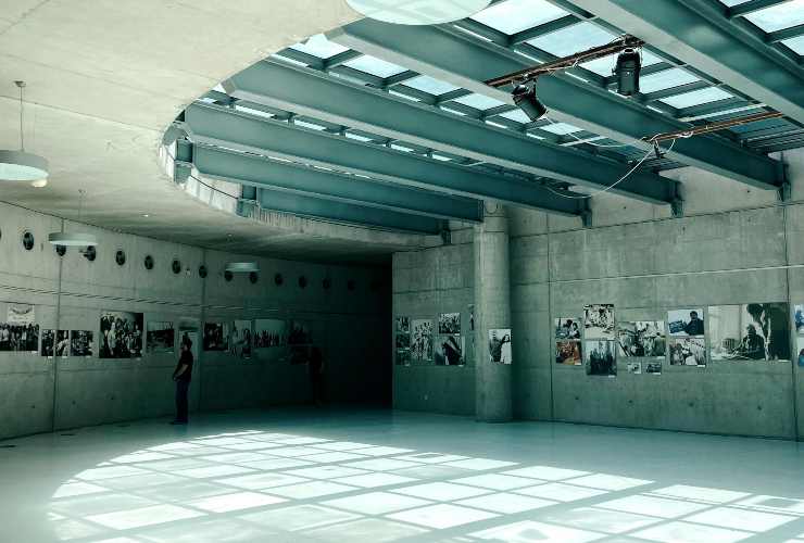 Mostra Dante+Leopardi, chi è Daniela Donatelli