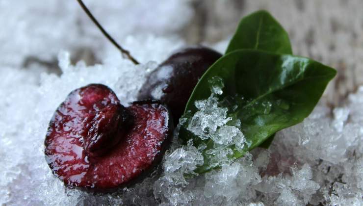 Come preparare il liquore con noccioli di ciliegia - mandamentonotizie.it - 20250715
