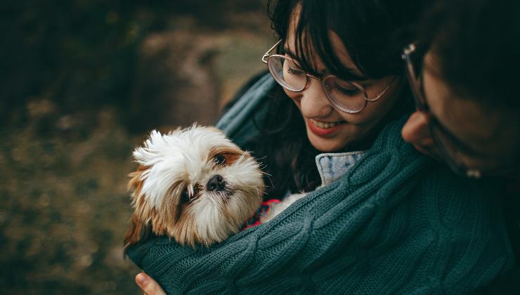 Come usufruire del bonus veterinario - mandamentonotizie.it - 20250703