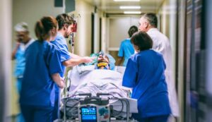 Emergenza sanitaria febbre west nile - Mandamentonotizie.it (Fonte foto Canva)