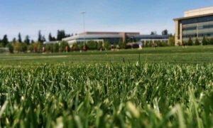 Montefredane, inaugurato il nuovo campetto sportivo: Valditara presente alla manifestazione