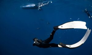 Trofeo CONI Regionale di nuoto pinnato: trionfa Franco Ulto con un doppio oro