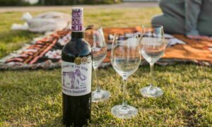 Avellino ospita Vino al Borgo - Atto a Divenire: vino, cultura enogastronomica e socialità